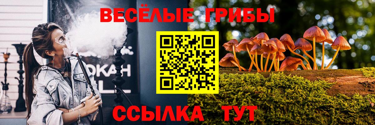 Псилоцибиновые грибы прущие грибы Ржев