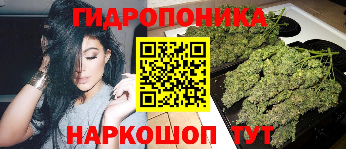 Бошки марихуана тримм  Вход с VPN  Ржев  Канабис сатива 